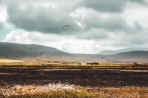 Kitepower Appoints Dr Pieter Willems as CEO to Lead Commercialisation Efforts